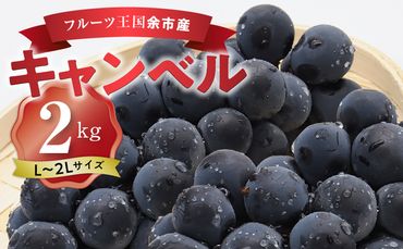 【2024年9月中旬以降発送】フルーツ王国余市産「キャンベル」2kg_Y074-0105