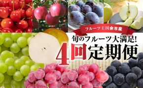 【定期便全4回】旬のフルーツを味わう さくらんぼ ぶどう プルーン りんご 梨 冷蔵 ニトリ観光果樹園 北海道 余市町 フルーツ 果物 早生ふじ ひめかみ 千両梨 ふじ 王林_Y074-0015