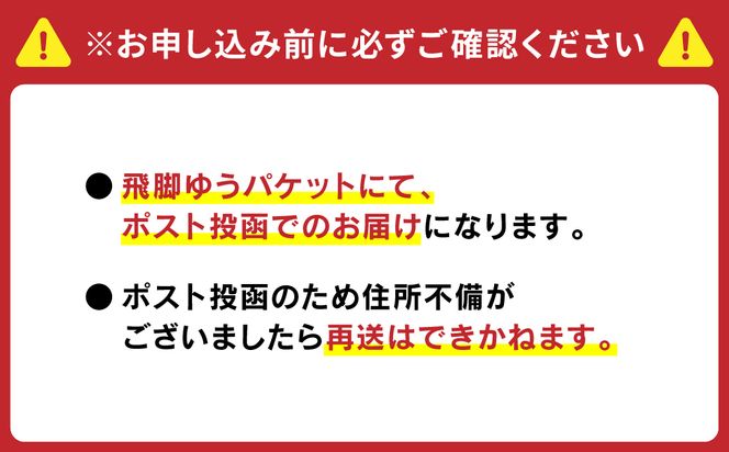 職人による手作り竹箸　匠煤　二十二（22cm）お箸 竹細工 日奈久竹細工 はし 竹 