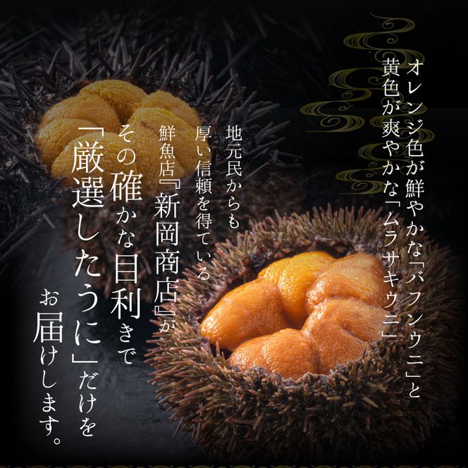 【2026年夏！新岡商店より発送】塩水バフンウニ＆ムラサキウニ（各100g）【銀座の高級寿司店御用達】【余市のうに】塩水ウニ発祥の地 高級ウニ バフンウニ ムラサキウニ _Y037-0337