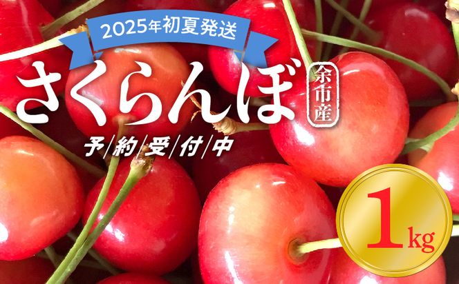 【2025年初夏発送】さくらんぼ 毎年大好評！こだわりの東谷農園 余市産 さくらんぼ 1kg_Y037-0328