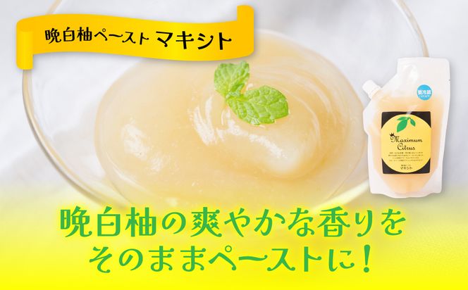 熊本県 八代市産 晩白柚 ペースト 「マキシト」 お手軽セット 計1000g