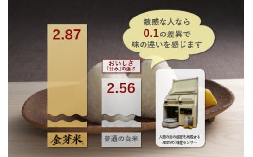 米 無洗米 金芽米 令和6年 宮城県 加美産 ひとめぼれ 特別栽培米 10kg  ( 5kg × 2袋 ) [ 宮城県 加美町 ]  お米 こめ コメ 精米 白米 玄米 きんめまい おすすめ 新米 ナ