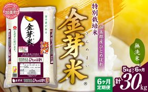 【 定期便 6回 】米 無洗米 金芽米 令和6年 宮城県 加美産 ひとめぼれ 特別栽培米 計30kg ( 5kg × 6回 )   [ 宮城県 加美町 km00016-r6-5kg-t ] 精米 白米