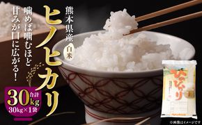 【令和6年産】八代市産 ヒノヒカリ 30kg (30kg×1袋) 米 熊本