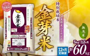 【 定期便 12回 】米 無洗米 金芽米 令和6年 宮城県 加美産 ひとめぼれ 特別栽培米 計 60kg ( 5kg × 12回 )   [ 宮城県 加美町 ]  お米 こめ コメ 精米 白米 玄米 