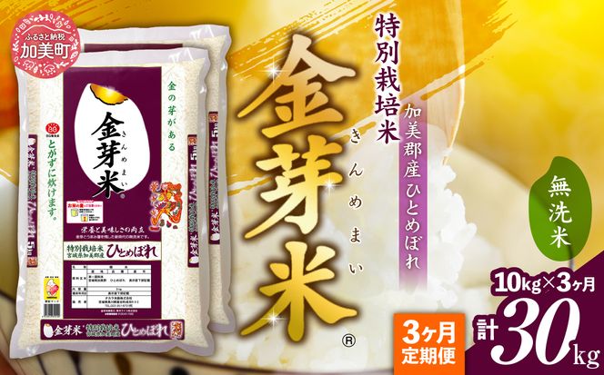 【 定期便 3回 】米 無洗米 金芽米 令和6年 宮城県 加美産 ひとめぼれ 特別栽培米 計 30kg ( 10kg × 3回 )   [ 宮城県 加美町 km00016-r6-10kg-t3 ]  