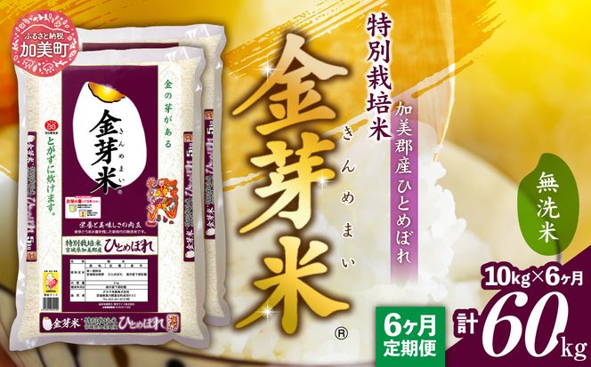 【 定期便 6回 】米 無洗米 金芽米 令和6年 宮城県 加美産 ひとめぼれ 特別栽培米 計 60kg ( 10kg × 6回 )   [ 宮城県 加美町 ]  お米 こめ コメ 精米 白米 玄米 き