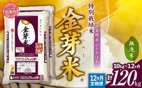 【 定期便 12回 】米 無洗米 金芽米 令和6年 宮城県 加美産 ひとめぼれ 特別栽培米 計 120kg ( 10kg × 12回 )   [ 宮城県 加美町 ]  お米 こめ コメ 精米 白米 玄