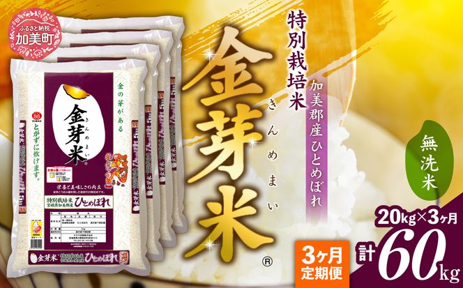 【定期便3回】米 無洗米 金芽米 令和6年 宮城県 加美産 ひとめぼれ 特別栽培米 計 60kg (20kg×3回)   [ 宮城県 加美町 km00010-r6-20kg-3 ] 