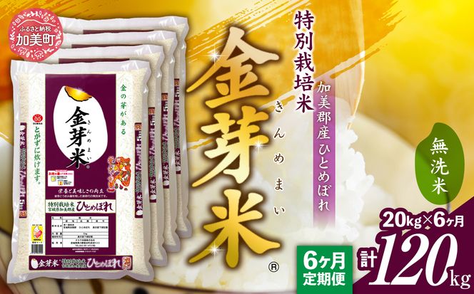 【定期便6回】米 無洗米 金芽米 令和6年 宮城県 加美産 ひとめぼれ 特別栽培米 計 120kg (20kg×6回)  [ 宮城県 加美町 km00010-r6-20kg-6 ] 