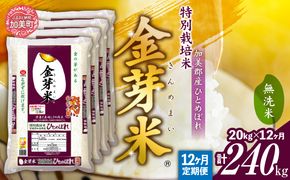 【定期便12回】米 無洗米 金芽米 令和6年 宮城県 加美産 ひとめぼれ 特別栽培米 計 240kg (20kg×12回)  [ 宮城県 加美町 km00010-r6-20kg-12 ]