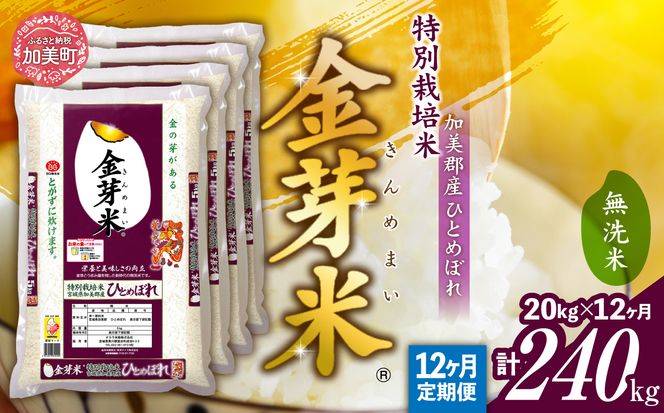 【定期便12回】米 無洗米 金芽米 令和6年 宮城県 加美産 ひとめぼれ 特別栽培米 計 240kg (20kg×12回)  [ 宮城県 加美町 km00010-r6-20kg-12 ]