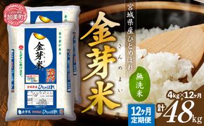 【定期便12回】米 無洗米 金芽米 令和6年 宮城県産 金芽米 ひとめぼれ 計 48kg  (4kg×12回)  [ 宮城県 加美町 km00011-r6-4kg-12 ]  お米