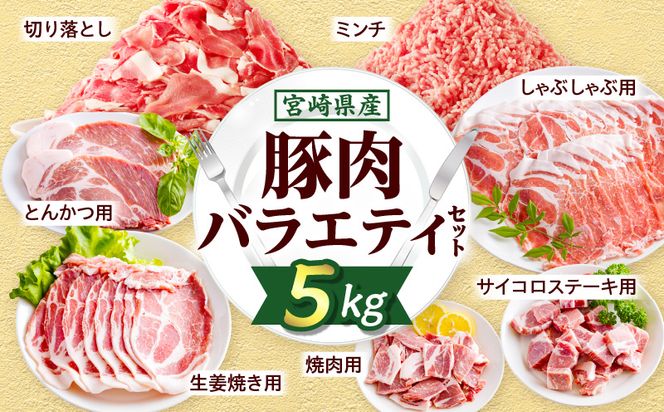 宮崎県産豚肉バラエティセット5kg_M277-006