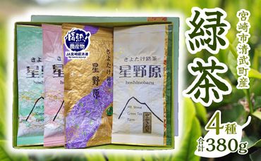 宮崎市 清武町産 緑茶4点セット 計380g_M211-001