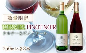 ケルナー2022年＆ピノノワール2023年 合計6本 750ml×各3本 セット ギフト【数量限定】赤ワイン 白ワイン 辛口 北海道産_Y061-0008