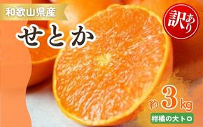 【ご家庭用訳あり】ジューシー柑橘 せとか 約3kg【先行予約】※2026年2月中旬頃〜2026年3月中旬頃発送予定（お届け日指定不可）せとか みかん 柑橘 フルーツ 果物 くだもの【uot834A】