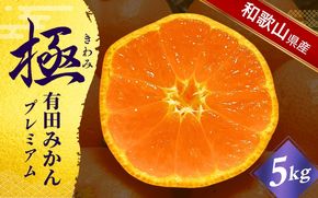 《極》 有田みかん 「プレミアム」 約5kg【選りすぐりの上位20％をお届け！】2S～Lサイズ 有機質肥料100% ※2025年11月下旬～2026年1月上旬頃順次発送 ※北海道・沖縄・離島への配送不