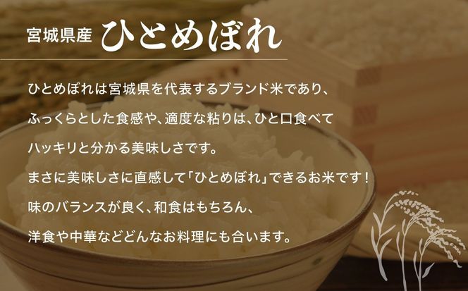 【3回定期便】新米 無洗米 令和6年度産 宮城 ひとめぼれ 15kg (5kg×3回)  [菅原精米工業 宮城県 加美町 ]  | sw00003-r6-5kg-3