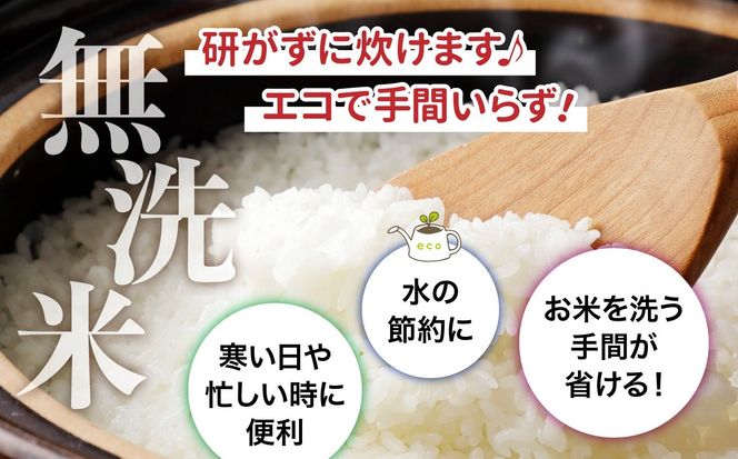 【3回定期便】新米 無洗米 令和6年度産 宮城 ひとめぼれ 15kg (5kg×3回)  [菅原精米工業 宮城県 加美町 ]  | sw00003-r6-5kg-3