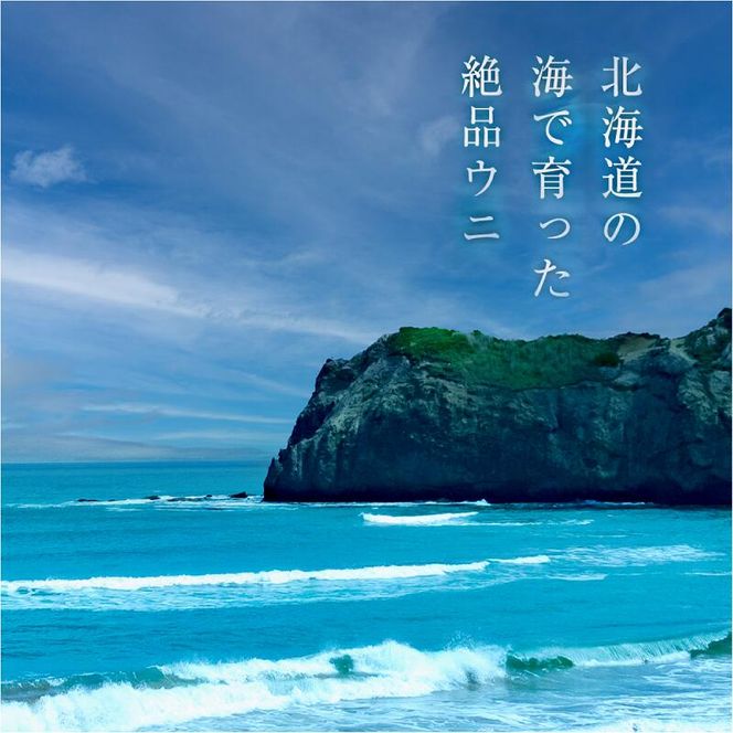 【先行受付2025年5月より順次発送】【ふるさと納税】≪贈り物≫幸雲丹80g(ムラサキ 北海道産)ウニ うに 雲丹【余市のうに】ギフト プレゼント 北海道 ムラサキウニ 白うに 白雲丹 冷凍ウニ 冷凍