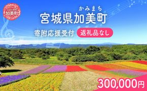 返礼品なし 宮城県 加美町 ふるさと応援寄附金 300,000円 | 寄附 応援 | kznot-300000