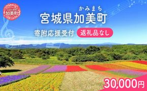 返礼品なし 宮城県 加美町 ふるさと応援寄附金 30,000円 | 寄附 応援 | kznot-30000