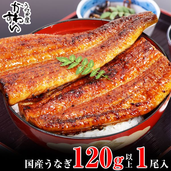 ya̎RLcsz1001.YȂĂ120g1{Zbg(A1001-1)