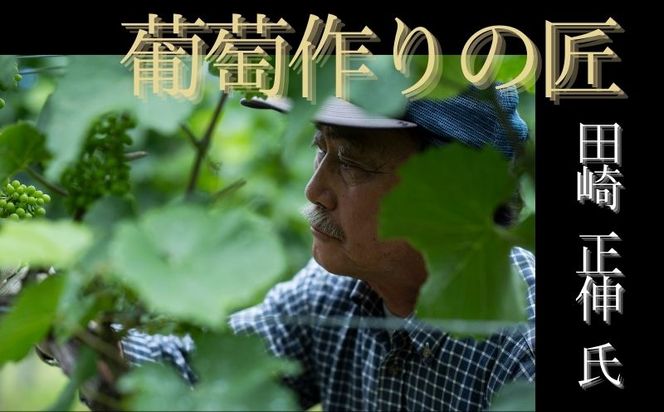 【余市】葡萄作りの匠 ロゼワイン飲み比べセット【北海道ワイン】_Y034-0094