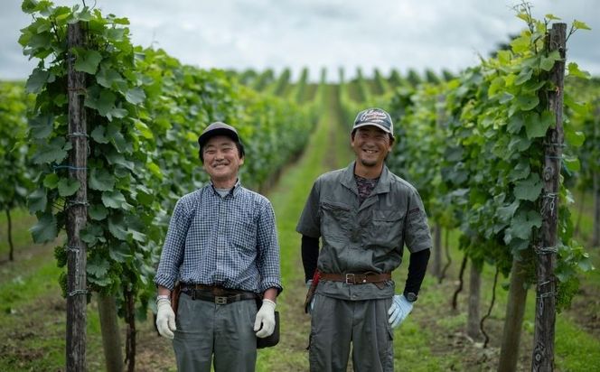 余市 葡萄作りの匠「北島秀樹」&「田崎正伸」ミュラートゥルガウ飲み比べセット_Y034-0091