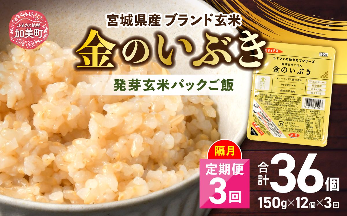 米 [ 3回 隔月 定期便 ] 宮城県産 金のいぶき 発芽玄米 パックごはん 12個×3回 総計36個 [ JA加美よつば(生活課) 宮城県 加美町 yo00005-r7-3k] レトルト ごはん ご