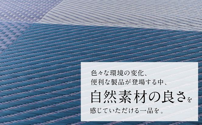 熊本県八代市産のい草を使って織り上げたラグ『DXモーニング』(サイズ：191cm×250cm)(カラー：ネイビー) 国産 イグサ 茣蓙 ござ ラグ カーペット 絨毯 マット 織物 敷き物 インテリア
