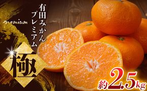 【先行予約】 ＼光センサー選別／極 有田みかんプレミアム 2.5kg 2S～Lサイズ ※2025年11月下旬頃～2026年1月下旬頃に順次発送予定 ※北海道・沖縄・離島への配送不可【nuk154D】