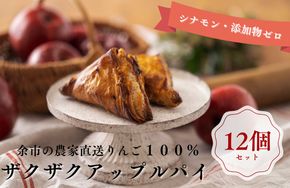 【ザクザク薫るアップルパイ（12個入）】余市 札幌 北海道 人気店 りんご 林檎 こだわり お菓子 スイーツ 本格 催事 デパート こだわりアップルパイ 余市アップルパイ_Y107-0009