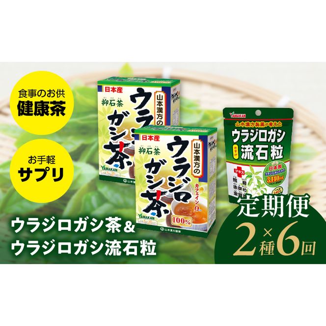 ＜6ヶ月連続＞ウラジロガシ茶＆ウラジロガシ 流石粒［027Y33-T］　山本漢方　定期便