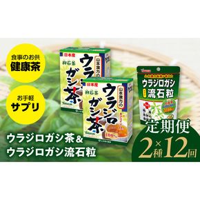 ＜12ヶ月連続＞ウラジロガシ茶＆ウラジロガシ 流石粒［027Y34-T］　山本漢方　定期便