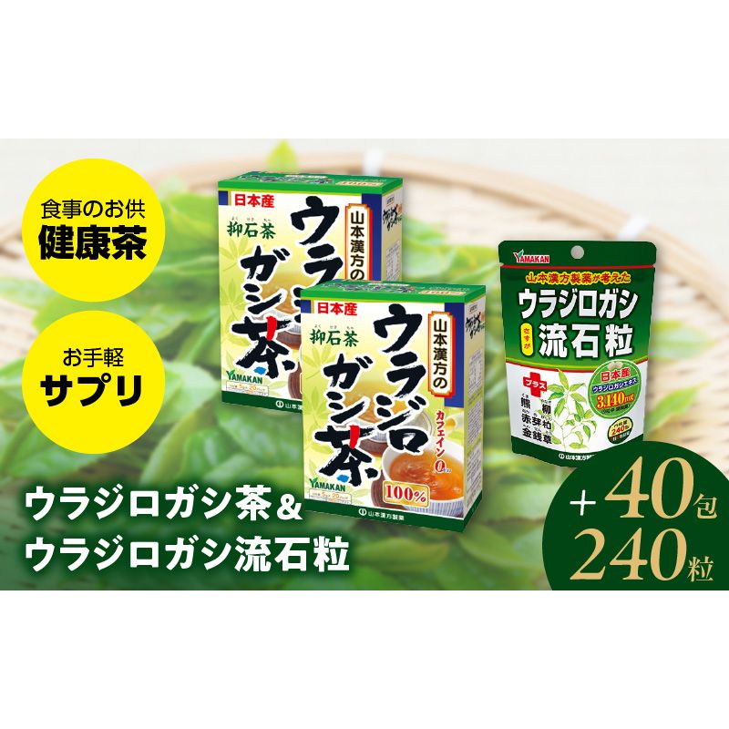 ウラジロガシ茶&ウラジロガシ 流石粒[027Y12]