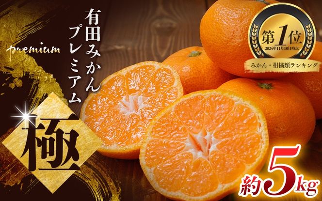 みかん ＼光センサー選別／極 有田みかんプレミアム 約5kg【光センサー高糖度選別品】2S～Lサイズ 有機質肥料100% ※2025年11月下旬～2026年1月上旬頃に順次発送予定 【nuk155E】