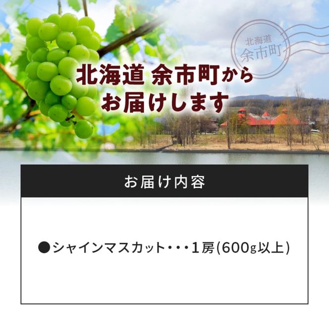 【先行受付：2026年10月上旬以降発送分】シャインマスカット 1房（600ｇ以上）_Y010-0658