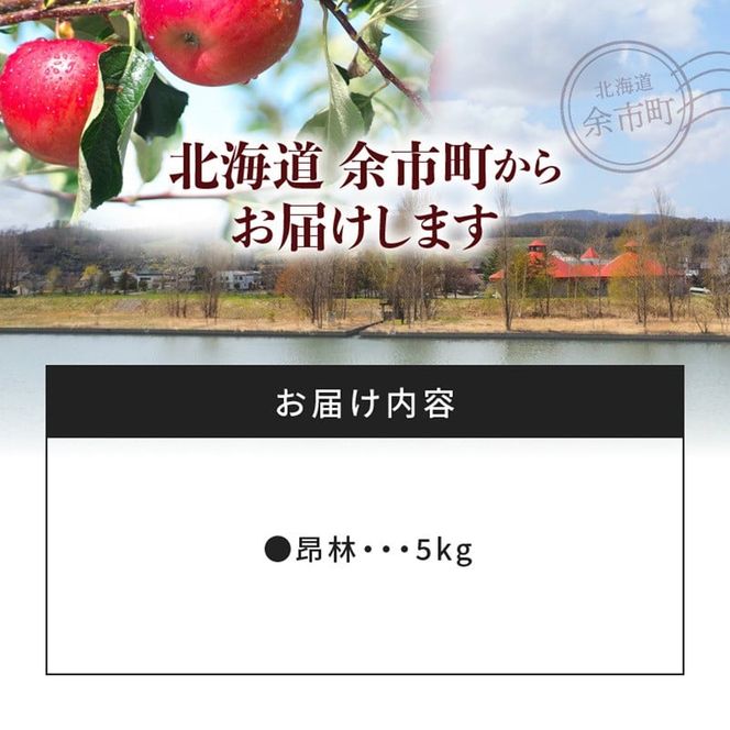 【先行受付：2026年10月中旬以降発送分】りんご（昂林）5kg_Y010-0661