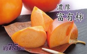 【秋の美味】【和歌山ブランド】濃厚!富有柿　秀品　２L～４Ｌサイズ (約7.5kg入り)【ard014C】