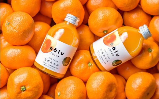 1026．鳴川農園nalu juice 有田みかんジュース250ml×6本(A1026-2)
