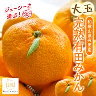 【果汁たっぷり】迫力満点！ 大粒 有田みかん 10kg+200g【2025年11月中旬～12月下旬順次発送予定】【ard055C】 