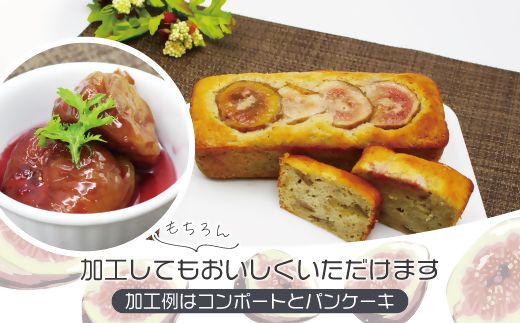 訳あり冷凍いちじく（とよみつひめ」）3kg【JAほたるの里】_HA1678