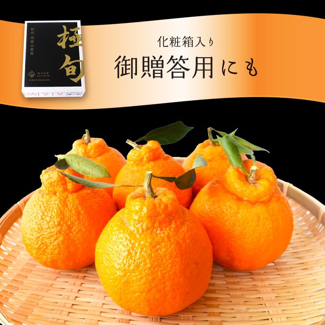 【先行予約】【数量わずか】樹上完熟しらぬい（不知火） 5個~8個 秀品 2026年2月下旬～2026年4月中旬頃に順次発送予定に順次発送予定（お届け日指定不可）/ 和歌山 みかん しらぬい 不知火 フ