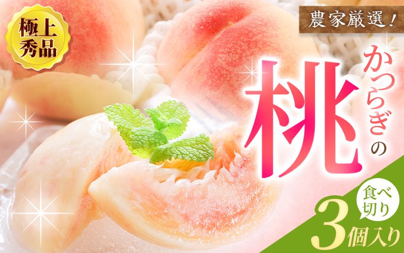 もも [先行予約][厳選]あふれる果汁で口いっぱい! 食べきりサイズ 和歌山県産 桃 3玉 2025年6月末頃〜2025年8月末頃に順次発送予定(お届け日指定不可)[kgr002]
