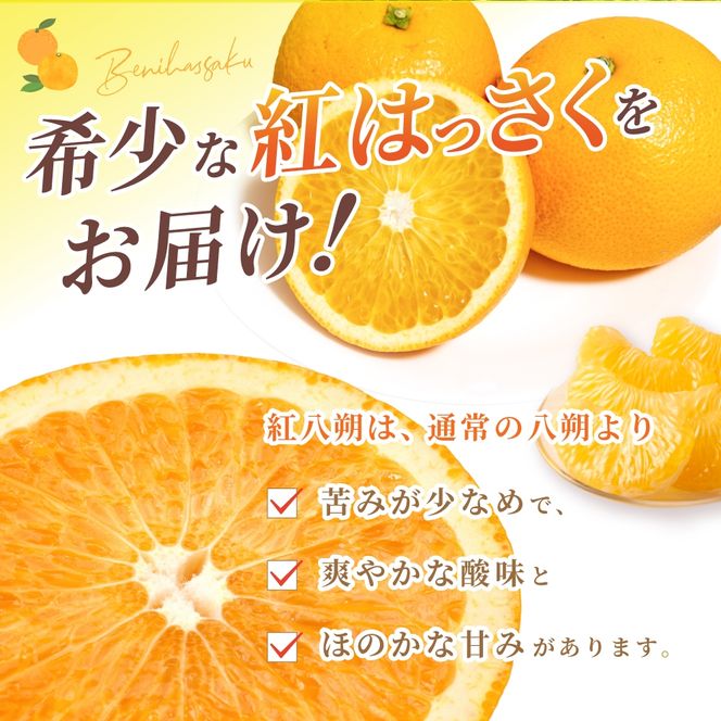 【先行予約】【数量わずか】あふれる果汁！希少な紅はっさく 秀品5kg L～２L 2026年1月初旬～2026年3月末頃に順次発送予定（お届け日指定不可）/  【kgr006A】