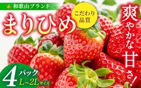 【先行予約】まりひめ いちご 12粒～15粒入り×4パック（1kg）2027年1月中旬頃～2027年3月下旬頃に順次発送予定（お届け日指定不可）/ いちご 苺 まりひめ 和歌山 フルーツ 果物 くだもの【kgr008B】