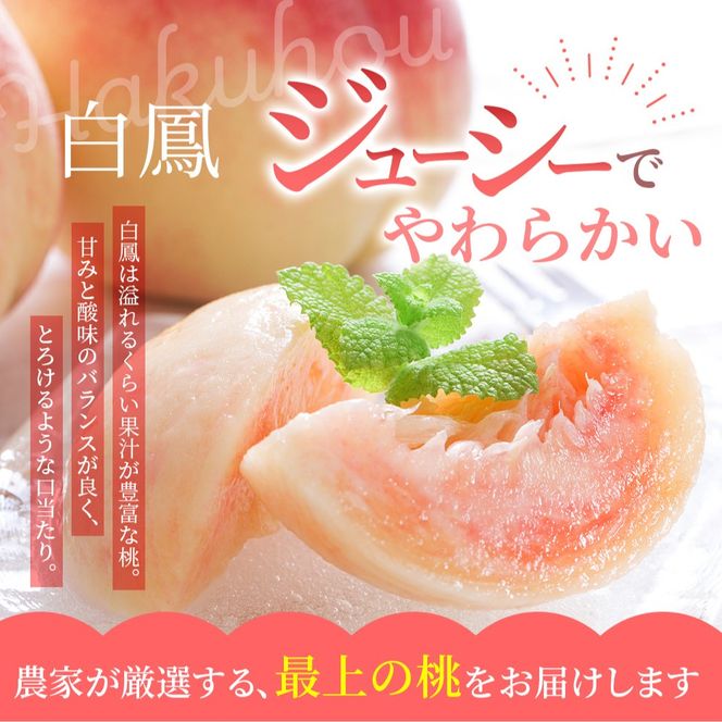【予約受付】桃の王様 白鳳 <特秀品> 約2kg（6個~9個） 【2026年6月末頃～2026年7月末頃に順次発送予定】（お届け日指定不可）/ 桃 もも 白鳳 フルーツ 果物 くだもの 【kgr009A】